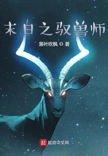 飘絮着的蒲公英