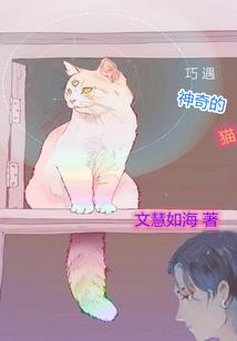 重生之晴与归