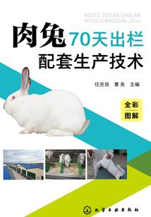 全脑吊丝