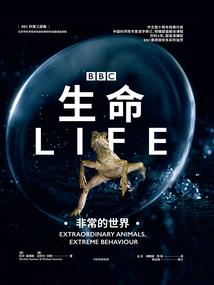 墨世情缘对对碰