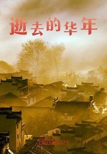 史迪大陆