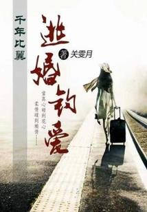 栖游纪