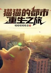 过眼云烟之逝
