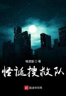 侠盗神偷传