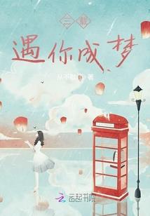 傻王爷又丢了