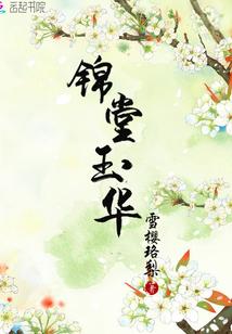猫猫日记