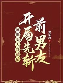 精灵宝可梦之天境之谜