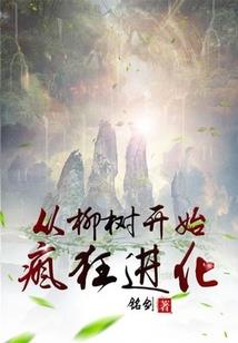 风华之战国