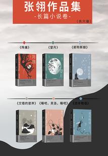 龙珠之超越极限