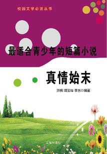 混沌之殇轮回