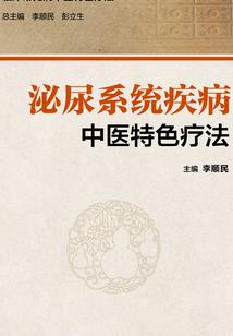 加速世界之速度极致