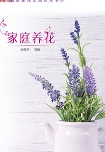 驯兽天师