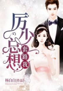 随风蒲公英