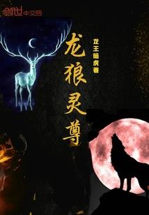 盗经书遇红花会
