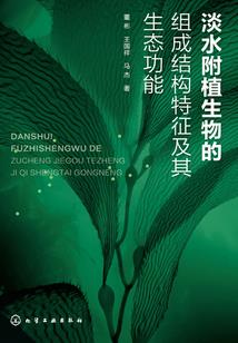 网游之龙爵神迹